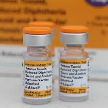 Tetanus Vaccine Tetanus Vaccine05-3514189-91845.webp